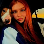 ���������� ���������, �������