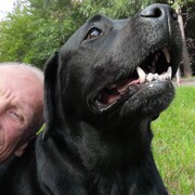  ,   , 49 ,     , c 