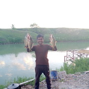 ���������� �������, ���� ������� �������, 42 ����, ������������ ��� ������, ����� � ���������, c�������� ���������