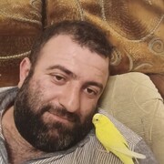 ���������� ������, ���� ������� �����, 38 ���, ������������ ��� ������, ����� � ���������, c�������� ���������, ���������