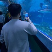 ���������� ������, ���� ������� ����, 32 ����, ������������ ��� ������, ����� � ���������