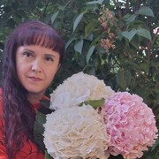  -,   , 42 ,   ,   , c 