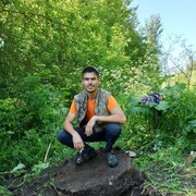  ,   , 33 ,   ,   