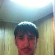 ���������� ������, ���� ������� Shava, 36 ���, ������������ ��� ������, ����� � ���������, c�������� ���������