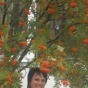  -,   , 49 ,   ,   , c 