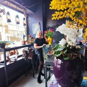 ���������� �����������, ���� ������� ������, 51 ���, ������������ ��� ����� � ���������