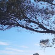 ���������� �������, ���� ������� Vitalik, 40 ���, ������������ ��� ������, ����� � ���������