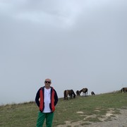  Agugliano,   , 50 ,   ,   , c 