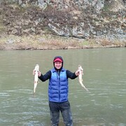 ���������� �����������, ���� ������� �������, 37 ���, ������������ ��� ������, ����� � ���������, c�������� ���������, ���������