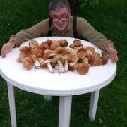  ,   , 52 ,   ,   , 