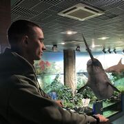  ,   , 37 ,  