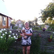 ���������� ������, ���� ������� ����, 53 ����, ������������ ��� ����� � ���������, c�������� ���������