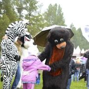 ���������� ������ ��������, ���� ������� ��������, 30 ���, ������������ ��� ������, ����� � ���������