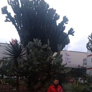  ,   , 40 ,   ,   , c 