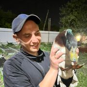  ,  , 31