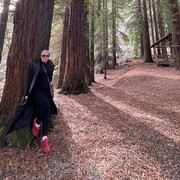 ���������� ����, ���� ������� �����, 39 ���, ������������ 