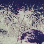  -,   A, 29 ,     , c , 