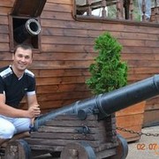  ,  yan, 36