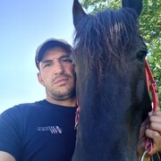 ���������� ��������, ������� �����, 41