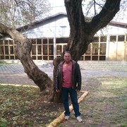  ,   , 54 ,   ,   , c 