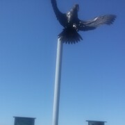 ���������� �������, ������� �������, 36