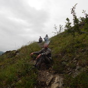 ���������� �����������, ���� ������� �������, 39 ���, ������������ ��� ������, ����� � ���������, c�������� ���������