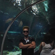 ���������� �����-���������, ���� ������� �������, 35 ���, ������������ ��� ������