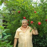  ,   , 61 ,   ,   