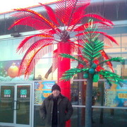 ���������� �����, ���� ������� ��������, 54 ����, ������������ ��� ������