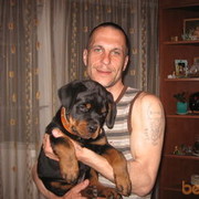  ,   , 50 ,  