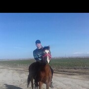 ���������� �������, ���� ������� ����, 36 ���, ������������ ��� ������, ����� � ���������