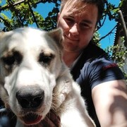 ���������� �������, ���� ������� ������, 28 ���, ������������ ��� ������, ����� � ���������, c�������� ���������