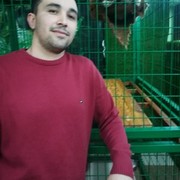 ���������� ���������, ���� ������� ����, 33 ����, ������������ ��� ������, ����� � ���������, c�������� ���������