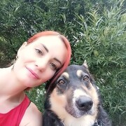 ���������� ������, ���� ������� �����, 39 ���, ������������ ��� ������, ����� � ���������, c�������� ���������, ���������