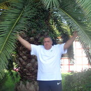  -,   , 55 ,   ,   , c 