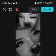 ���������� ������, ���� ������� ���, 19 ���, ������������ ��� ������, ����� � ���������