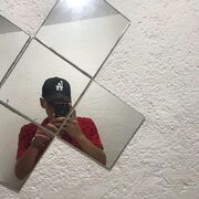 ���������� ���������, ���� ������� ���������, 28 ���, ������������ ��� ������, ����� � ���������