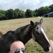 Herzogenrath,  ALEX GREK, 44