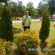  ,   , 42 ,   ,   , c 