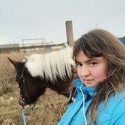 ���������� �����-���������, ���� ������� ������, 33 ����, ������������ ��� ������, ����� � ���������, c�������� ���������