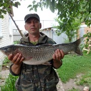 ���������� ���������, ���� ������� ������, 58 ���, ������������ ��� ������, ����� � ���������, c�������� ���������