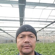  ,  Hayotjon, 42