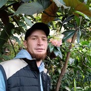  ,   , 29 ,   , 