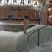 ���������� ���������, ���� ������� ���, 36 ���, ������������ ��� ������, ����� � ���������, ���������