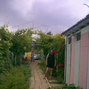  ,   , 48 ,   ,   , c 