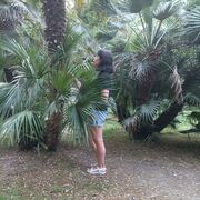  ,   , 52 ,   ,   