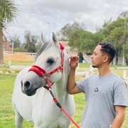 ���������� ����, ���� ������� Mahmmuod, 27 ���, ������������ ��� ������, ����� � ���������