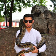  ,   Imomali, 31 ,   ,   , c 