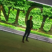  ,   Oktamjon, 34 ,   ,   , c , 