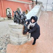 ���������� �����������, ���� ������� ����, 50 ���, ������������ ��� ������, ����� � ���������, c�������� ���������